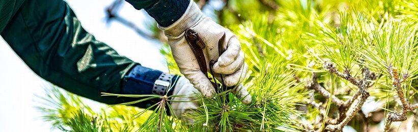 AdobeStock_271886118